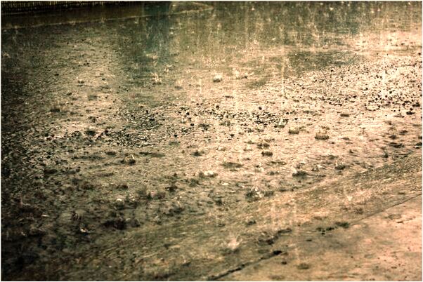 夢到了牛生病是好的徵兆嗎_周公解夢官網