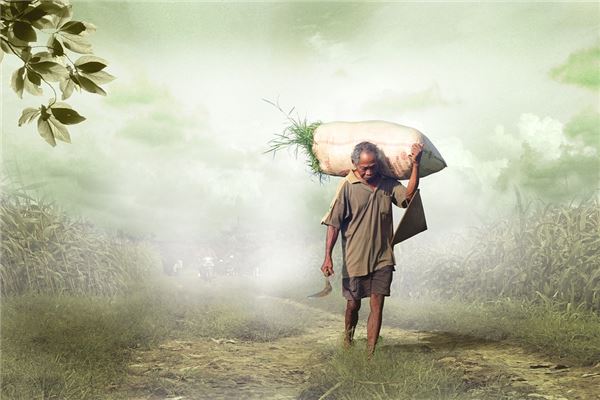 夢到死去的人又死是咋回事_周公解夢