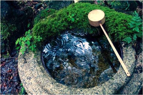 夢見站立屋頂預示了什麼_周公解夢官網