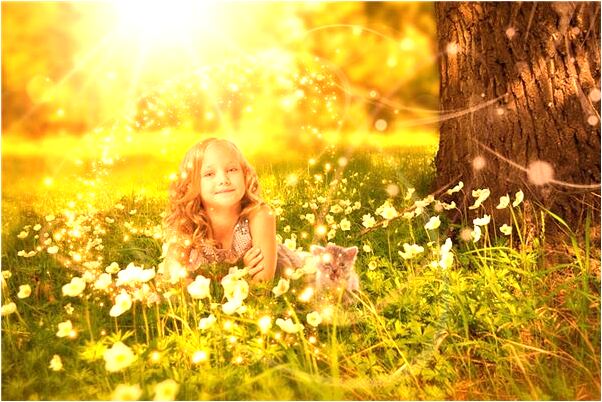 夢見家裡多了輛豪車好不好_周公解夢官網