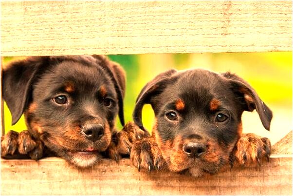 夢到了下雨自己摔跤是什麼預兆_周公解夢官網