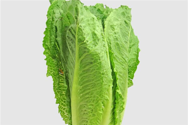 夢見買青菜是什麼意思_周公解夢