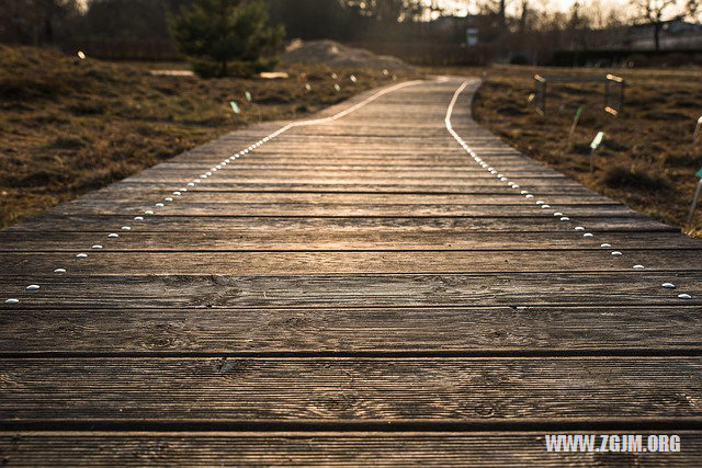 夢見被蛇咬脖子_周公解夢夢到被蛇咬脖子是什麼意思_做夢夢見被蛇咬脖子好不好_周公解夢官網