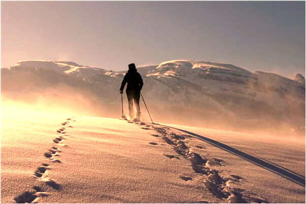 夢見天上掉火球下來意味著什麼_周公解夢官網