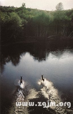 12星座眼中的另一半_十二星座