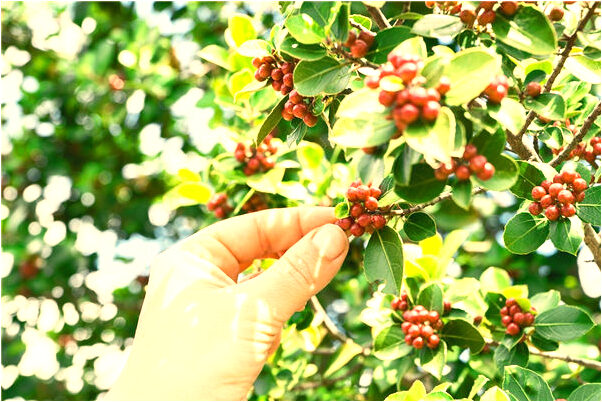 夢見老公和他的前妻光身體代表著什麼？_周公解夢官網