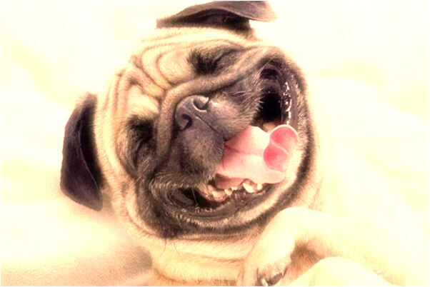 夢到了做愛後冷水澡預示了什麼_周公解夢官網