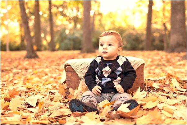 夢到水水牛船有什麼意思_周公解夢官網