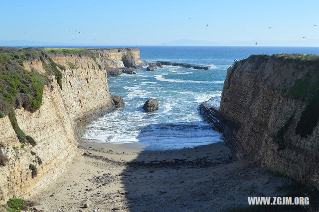 夢見狗洗澡_周公解夢夢到狗洗澡是什麼意思_做夢夢見狗洗澡好不好_周公解夢官網