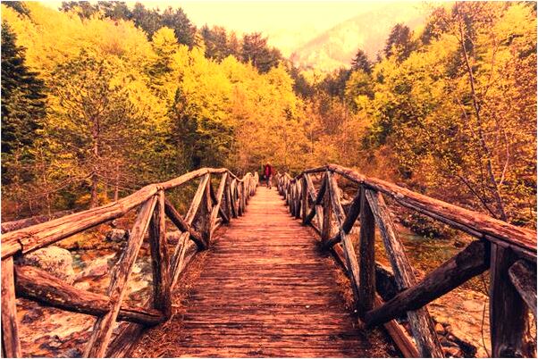 夢到了自己又生了個兒子怎么樣_周公解夢官網