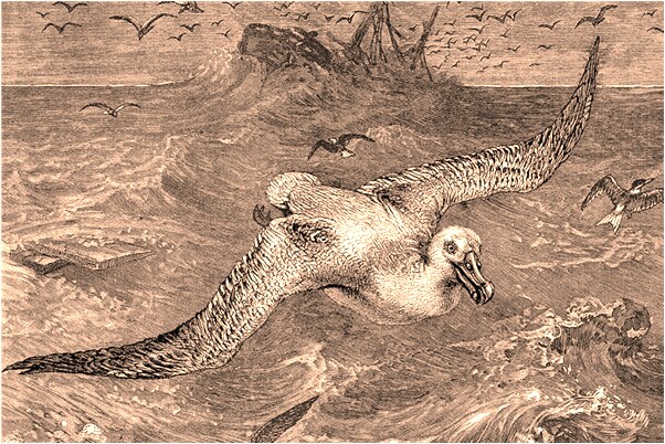 夢見前男友求我回去是咋回事_周公解夢官網