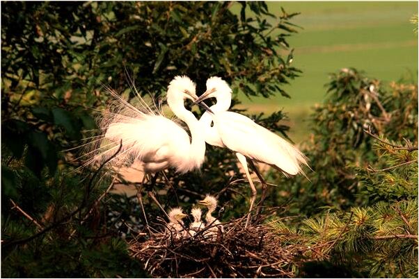 夢到男人抱住是什麼徵兆_周公解夢官網
