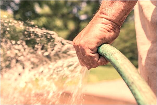 夢到黑色的魚產小黑魚啥意思_周公解夢官網