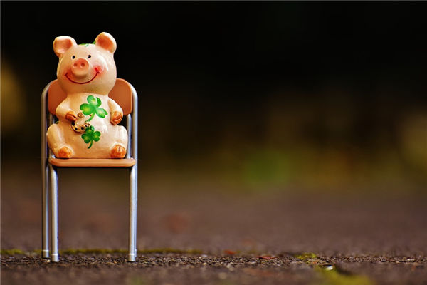 2021年屬相豬的人年齡表_十二生肖