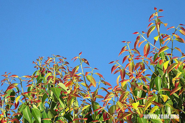 夢見自己的小孩_周公解夢夢到自己的小孩是什麼意思_做夢夢見自己的小孩好不好_周公解夢官網