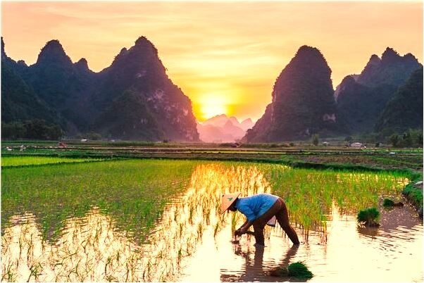 夢見同村的人在演出是什麼預兆_周公解夢官網