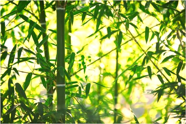 夢到僵屍咬我有什麼寓意嗎_周公解夢官網