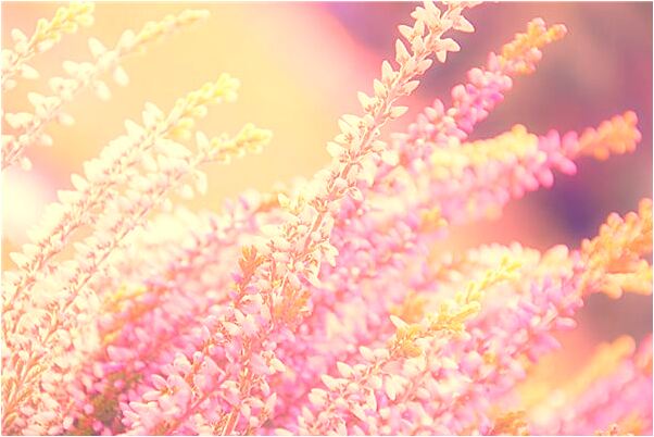 夢到武林高手死古董什麼寓意_周公解夢官網