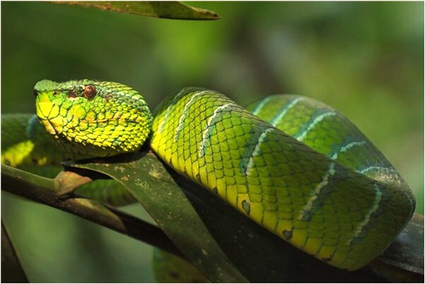 夢到了老公抓到小偷是凶兆還是吉兆_周公解夢官網