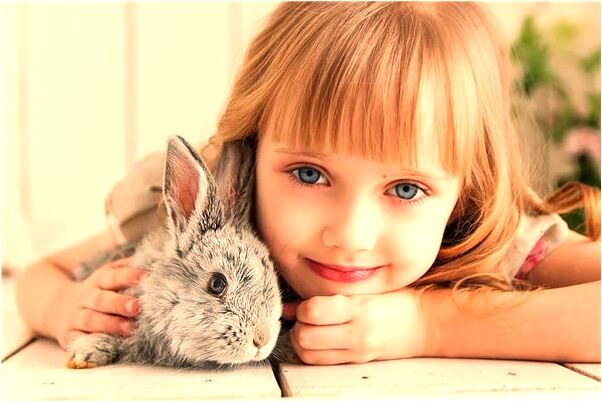 夢到了和朋友一人買了一上鞋預示著什麼_周公解夢官網