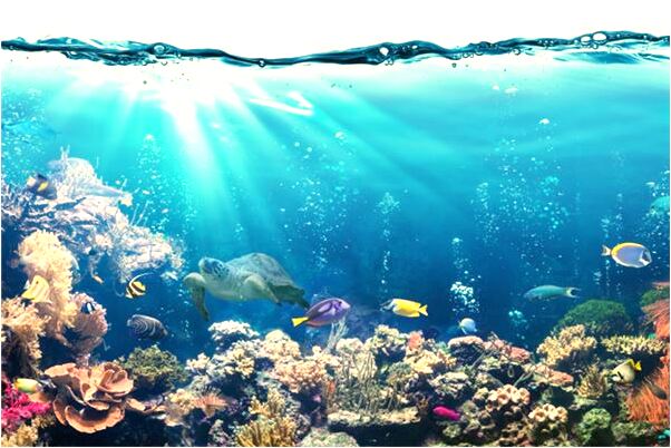 夢到了從東邊往西邊跑的預兆_周公解夢官網