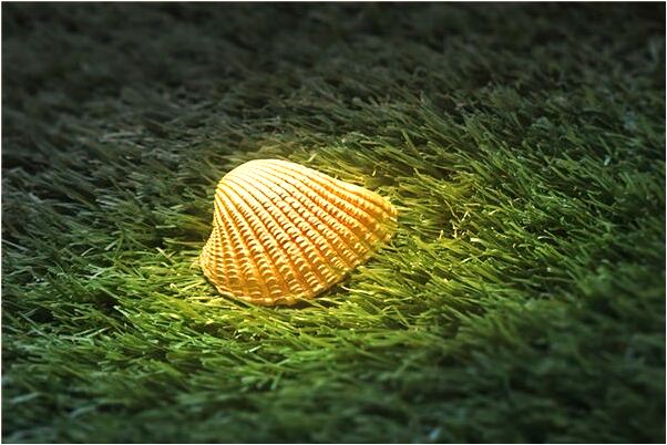 夢到向別人訴苦是什麼兆頭_周公解夢官網