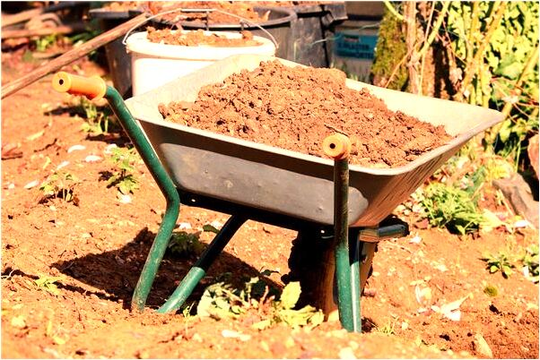 夢到鞋都壞有什麼徵兆_周公解夢官網