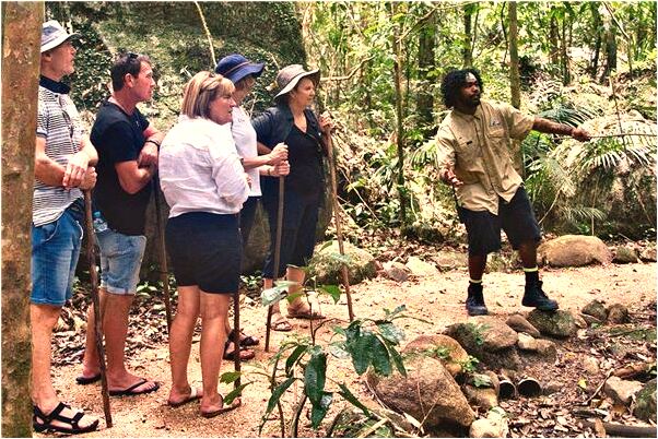 夢見菜板打官司意味著什麼_周公解夢官網