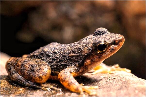 夢到了上級給我安排了新的任務是什麼預兆_周公解夢官網