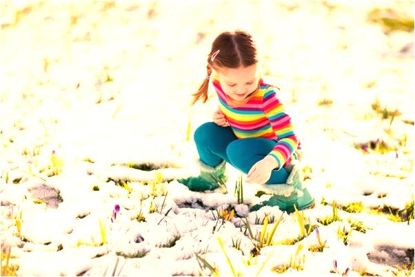 夢到了耳朵里蟲子沒有了是啥預兆_周公解夢官網