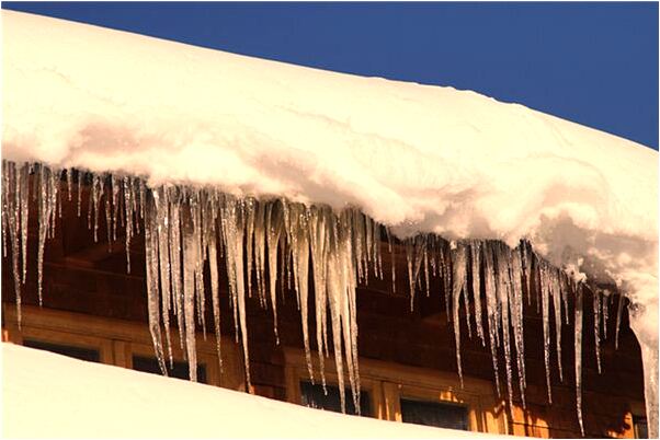 夢見老虎追著咬我和我姐是什麼預兆？_周公解夢官網