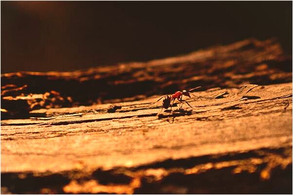 夢到恐怖的畫面好不好_周公解夢官網