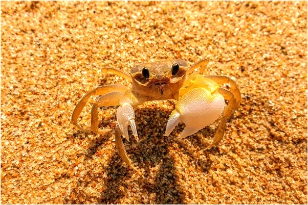 夢到洗陰道沒水預示了什麼_周公解夢官網