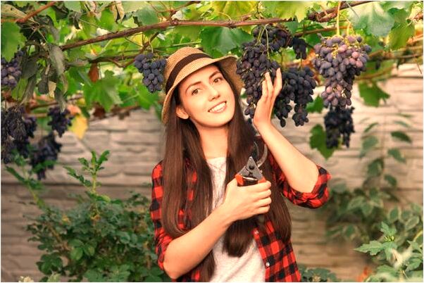 夢見家裡有老鼠並趕走了是凶兆還是吉兆_周公解夢官網