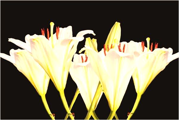 夢到了結交新男友好不好_周公解夢官網