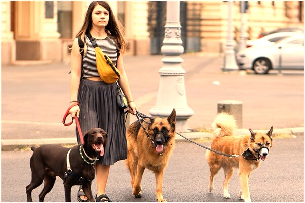 夢到了被神經病追殺是好是壞_周公解夢官網