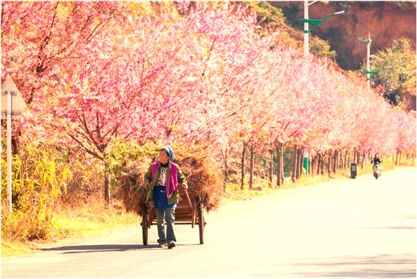 夢見自己的床被你移位了意味著什麼_周公解夢官網