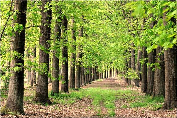 夢見哭著要復讀有什麼預兆_周公解夢官網