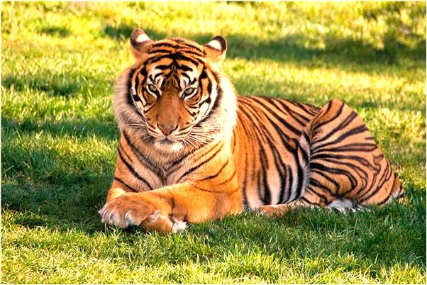 夢見朋友划著船撿了錢有什麼寓意嗎_周公解夢官網