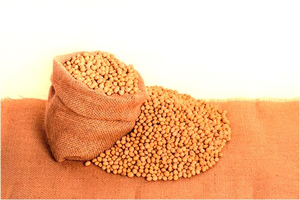 夢見母親砍倒樹是不是好的徵兆呢_周公解夢官網