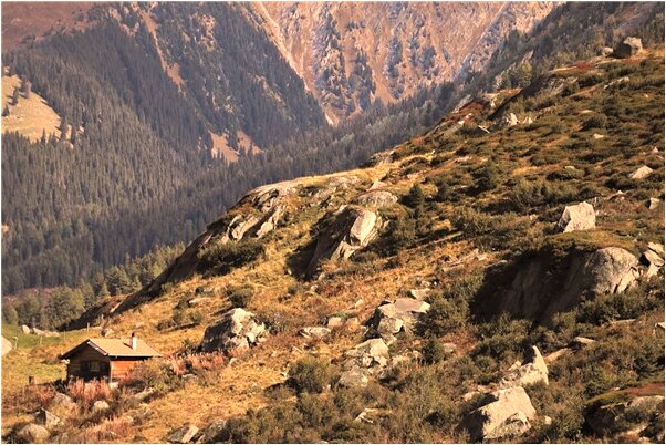 夢見沒有客人要吃的飯預示著什麼_周公解夢官網