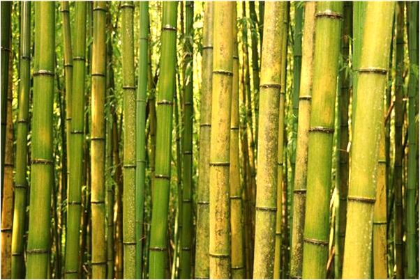 夢到和同學們在公路上跑步有什麼寓意嗎？_周公解夢官網