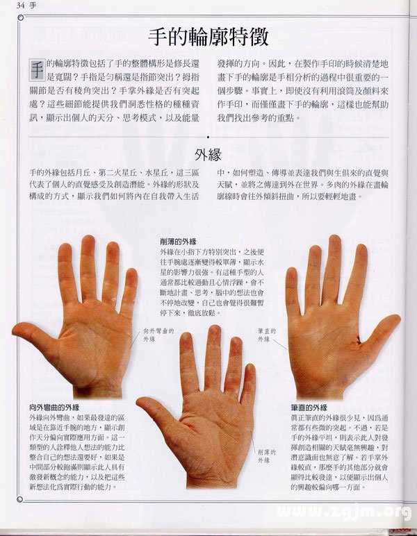 The palms learning encyclopedia: hand contour features