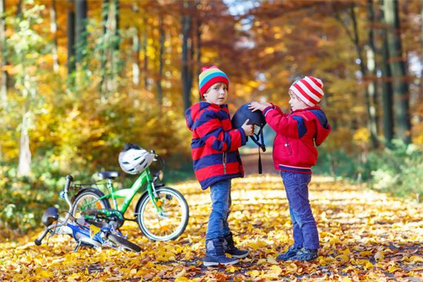 2019年屬豬2021年運程_十二生肖