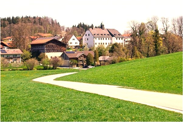 夢見頭戴百帽預示什麼_周公解夢官網