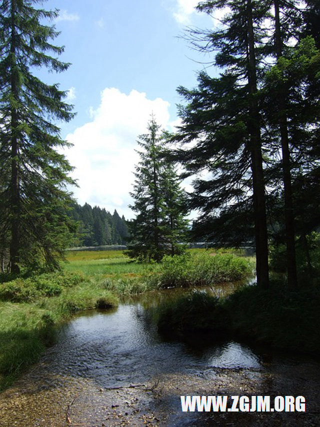 夢見渾水流淌_周公解夢夢到渾水流淌是什麼意思_做夢夢見渾水流淌好不好_周公解夢官網