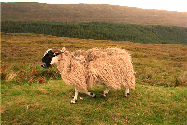 夢到自己未來的孩子會有什麼預兆_周公解夢官網