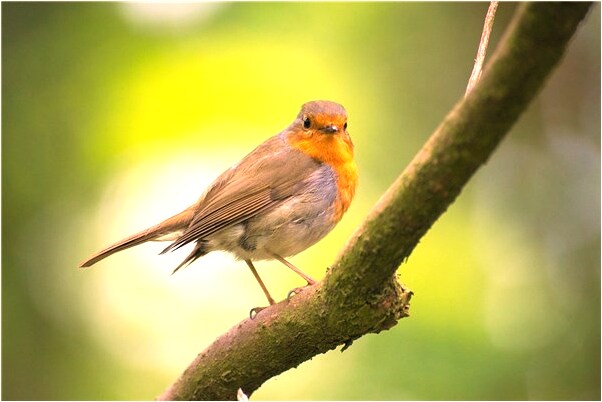 夢到死人要去送畫冊意味著什麼_周公解夢官網