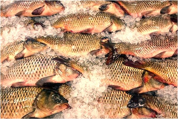 夢見弟弟用火燒他預示著什麼_周公解夢官網