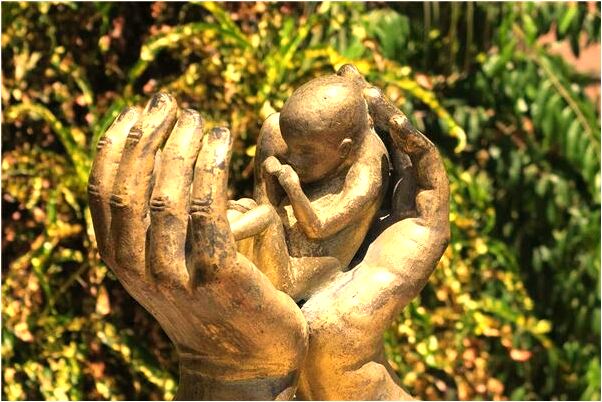 夢見抓龍角飛上天代表著什麼_周公解夢官網